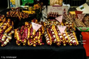 Zibälämärit 2015 - Berne Onion Market