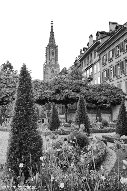Berne Minster from Erlacherhof Terrace - Berne in Black & White