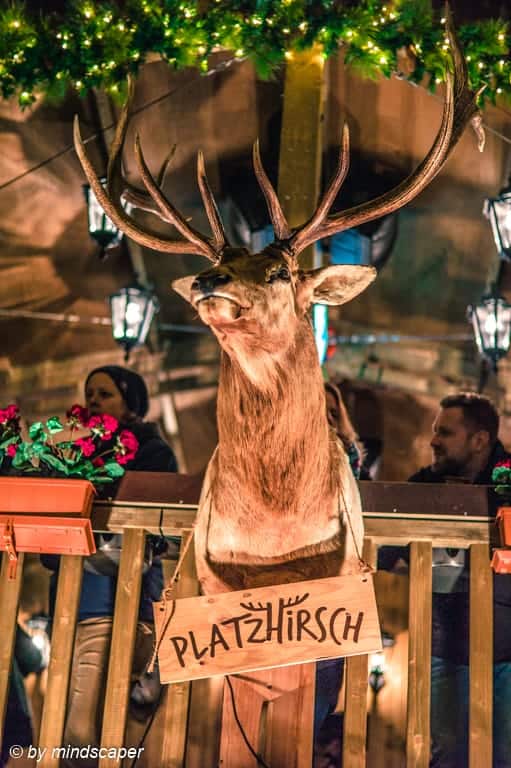 Platzhirsch - Xmas Market Waisenhasuplatz - Berne