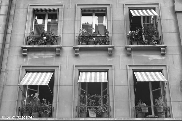 Summery Windows - Berne in Black & White