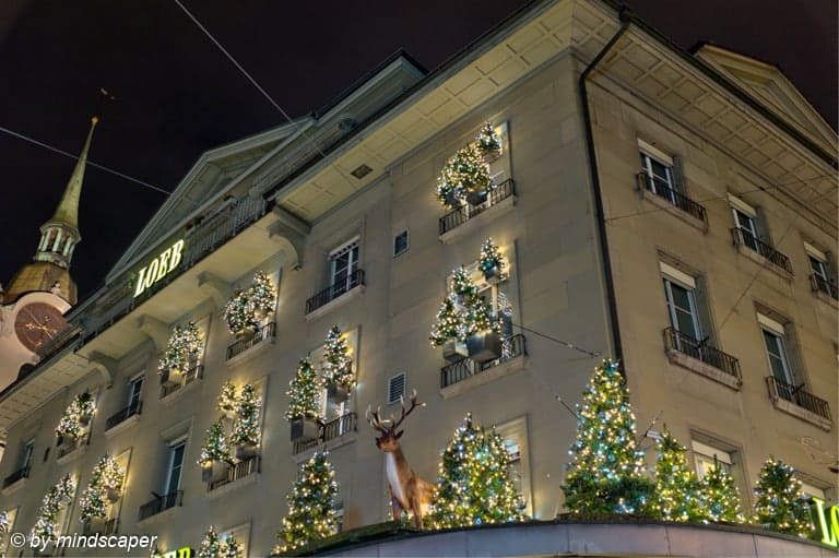 Xmas Trees With Reindeer at Loeb - Berne