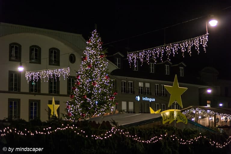Xmas Tree at Xmas Market, Berne