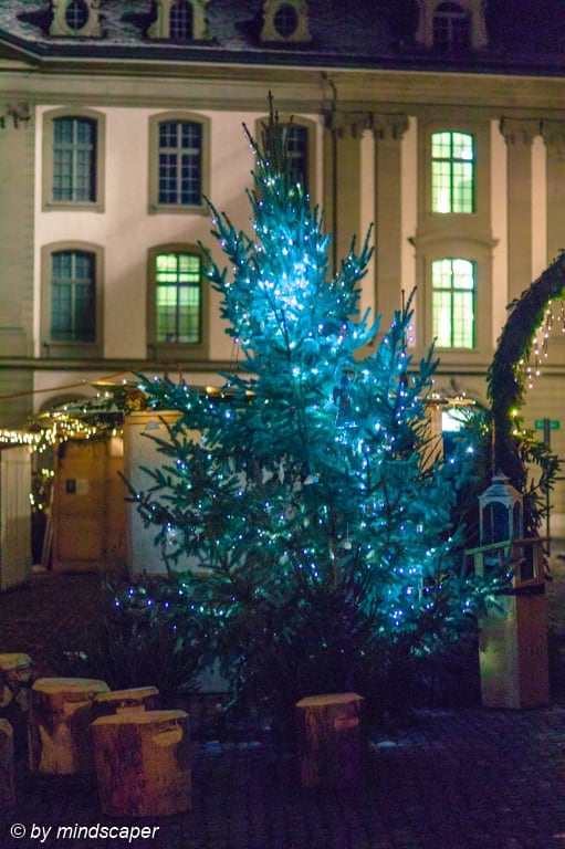 Xmas Tree at Minster Xmas Market - Berne