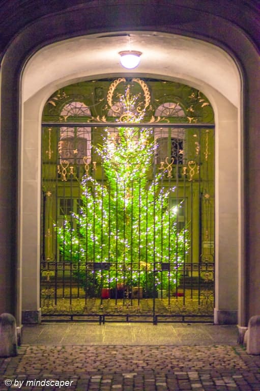 Xmas Tree Erlacherhof Berne