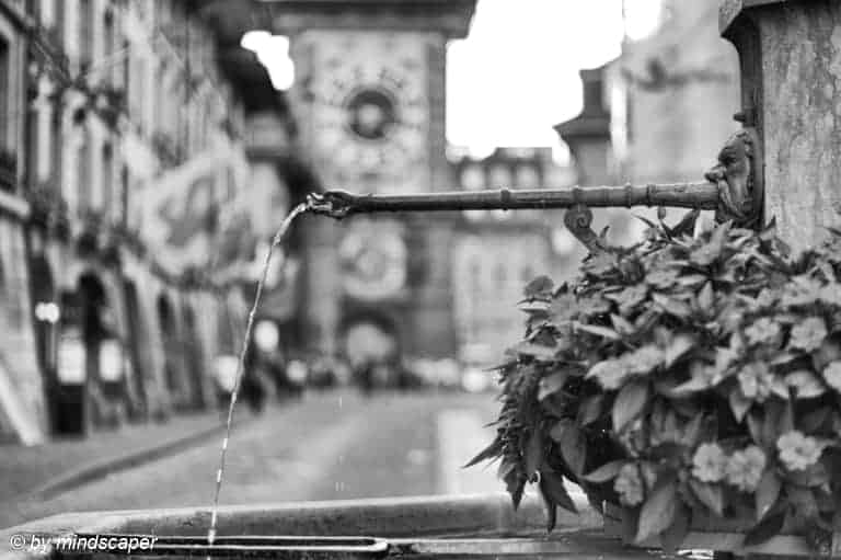 Zähringer Fountain Details - Berne in Black and White