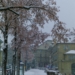 Snowing at Nydegg - Berne in Winter