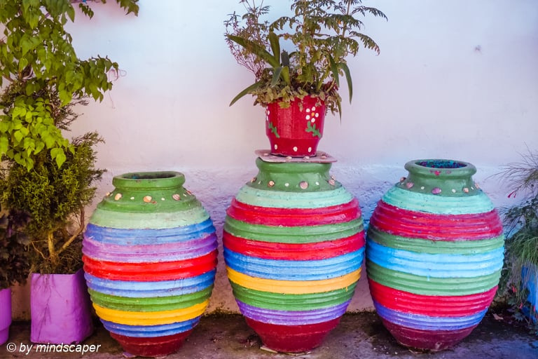 Coloured Plant Amphores - Mediterranean Still Life