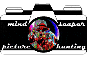 PictureHunting Camera Logo Animated