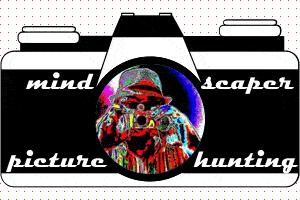 MindScaper +3D Camera Logo Small