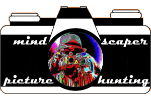 MindScaper Logo Camera Fisheye Ani Small