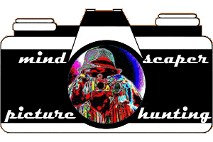 MindScaper Logo Camera HDR Ani Small