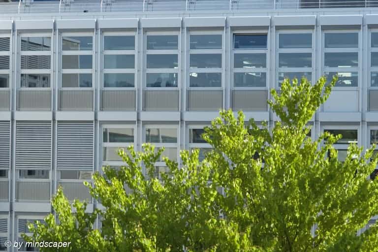 Modern Office Facade with Tree