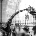 Dinosaur at Buskers 2018 - Black and White