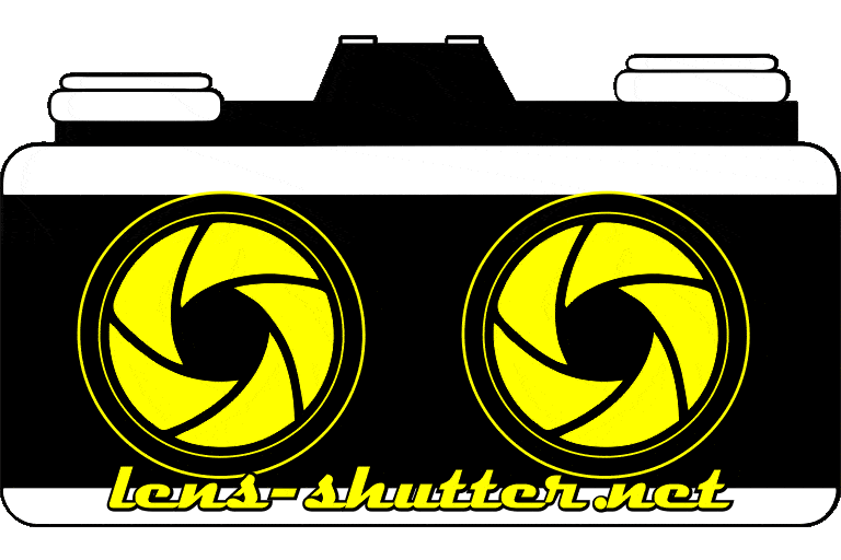 Lens-Shutter Stereo Logo