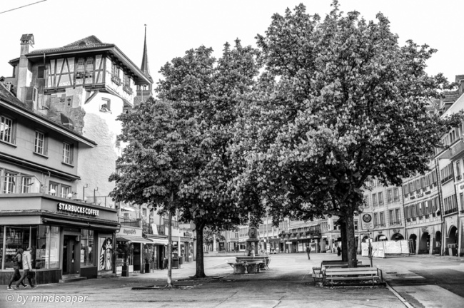 Holländerturm with Spring Trees - Berne in Black & White 7