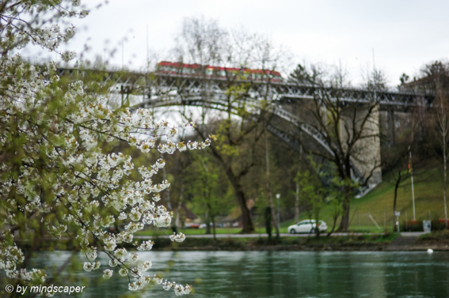 Spring Time at Kirchenfeld-Bridge