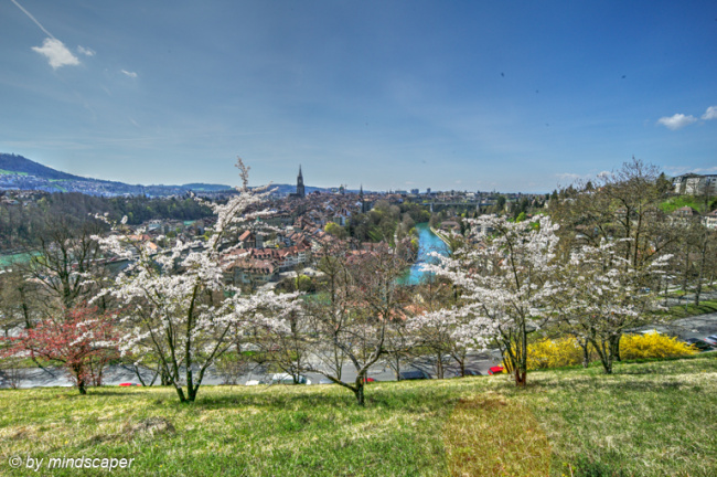 Berne Skyline in Spring - Seen From Rosengarten