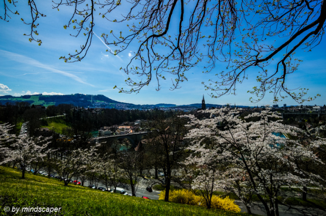 Berne Skyline in Spring - Seen From Rosengarten