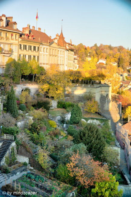 Gardens in Old City of Berne