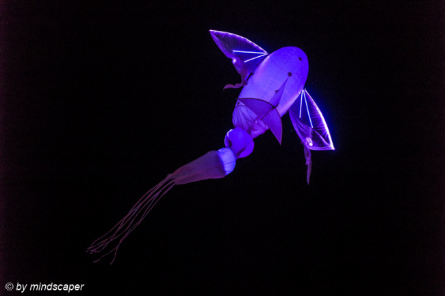 Flying Fish in Blue Museumsnacht 2019