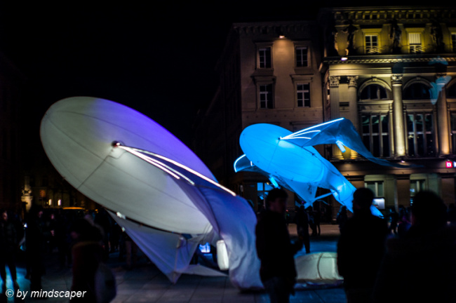 Flying Fishes - Museumsnacht 2022