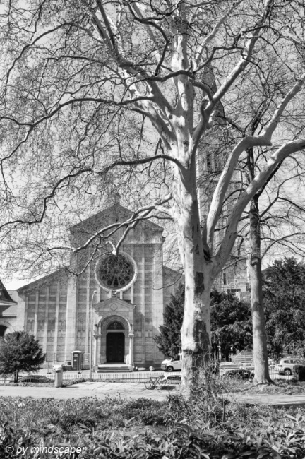 Trinity Church on Spring Morning - Berne in Black & White 7