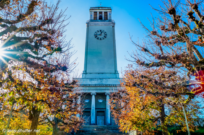 Autumn at Freedom Church Bern